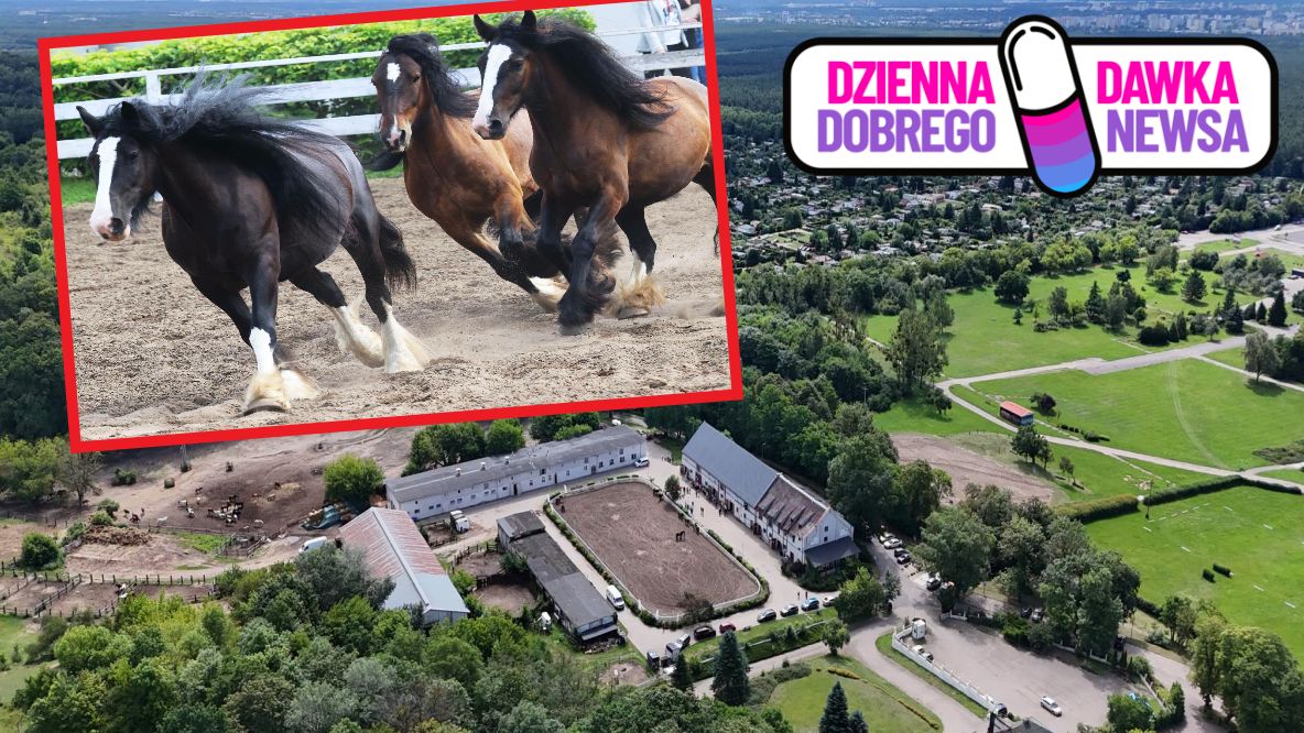 Otwarto Stajnię Akademicką Politechniki Bydgoskiej 