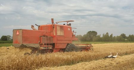 11-latek zginął pod kołami kombajnu. Kierowca usłyszy zarzuty