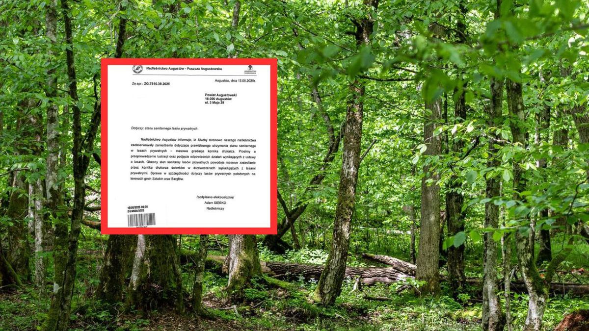 Nadleśnictwo Augustów alarmuje