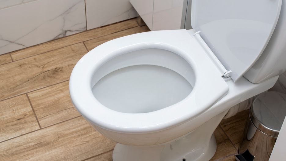 Naturalny sposób na białą toaletę