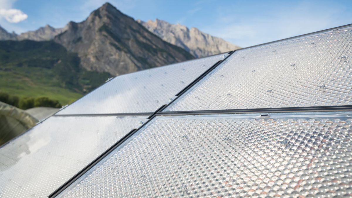 Przezroczyste panele fotowoltaiczne na szklarni. Zastąpią tradycyjną folię 1