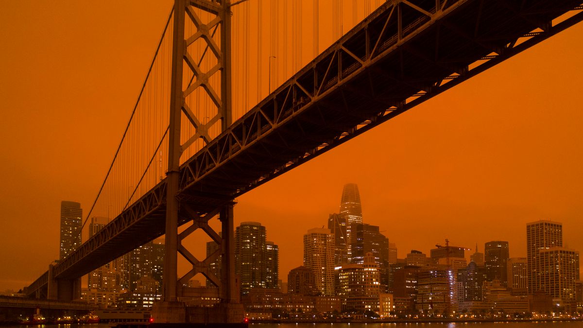 Twórcy aplikacji Halide przeznaczają dochód na walkę z pożarami w USA 1