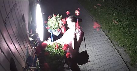 "Kobieto, co ci te kwiaty winne". Właściciele kwiaciarni pokazali nagranie