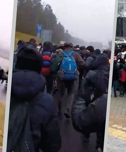 Granica z Białorusią. Nowe kolumny migrantów. Już 5 tys. w obozach. "Szykują się" [NA ŻYWO]