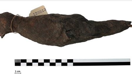 Zdjęcia rentgenowskie egipskich mumii. Naukowcy zajrzeli do ich środka 1