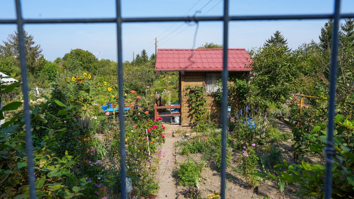 Działki ROD we Wrocławiu