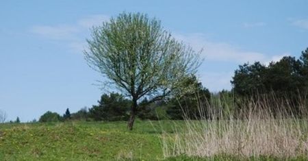Ropianka - małe i duże podróże z dzieckiem