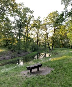 Pogoda. Wrocław. 2 lipca - chłodniej, ale bez deszczu. Weekend bez upałów