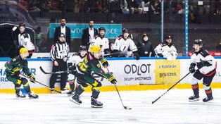 Zabójcza skuteczność. Nokaut w drugiej tercji, Fučík niczym ściana