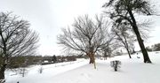 Zamość: Zaśnieżone bulwary, Łabuńka skuta lodem i piękna panorama Starówki