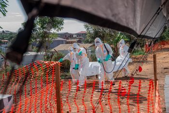 Wirus ebola zbiera śmiertelne żniwo. Nie żyje już 247 osób