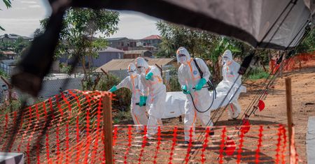 Wirus ebola zbiera śmiertelne żniwo. Nie żyje już 247 osób
