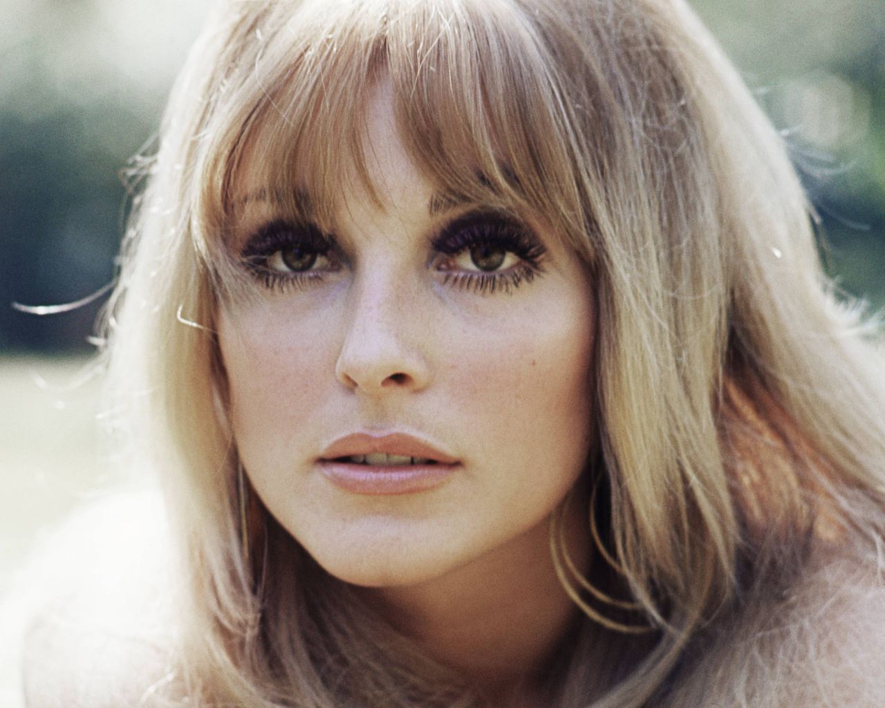 Aktorka Sharon Tate (Getty Images)