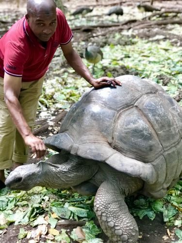 Spotkanie z żółwiami na Zanzibarze