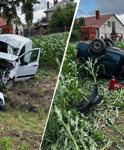 Auto na drzewie, drugie w polu. Koszmarny wypadek na Lubelszczyźnie