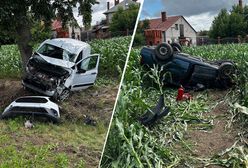 Auto na drzewie, drugie w polu. Koszmarny wypadek na Lubelszczyźnie