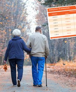 Emeryci zyskają nawet 4 tys. zł na rękę. Mamy tabelę czternastek