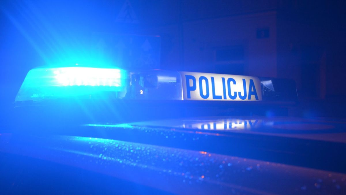 Zachodniopomorskie. Ciało kobiety w lesie. Zdj. poglądowe