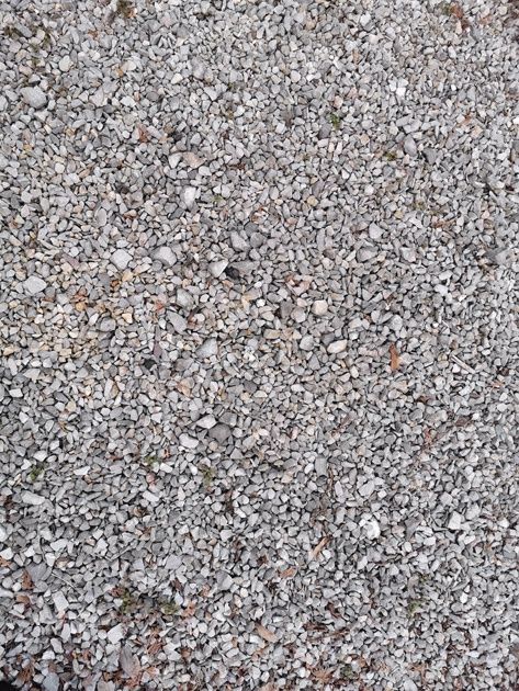 Szerokie pole widzenia na 27 mm i największe zbliżenie w trybie Supermakro