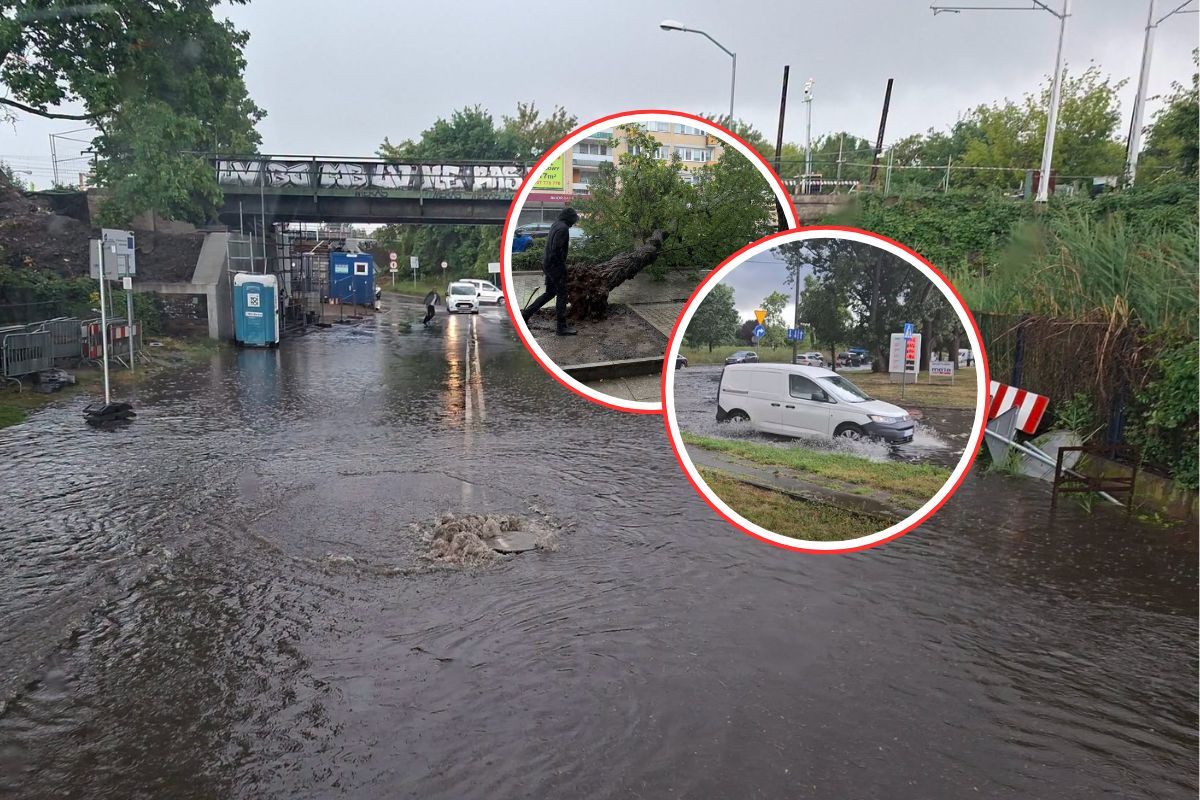 Nagła ulewa. Ściana deszczu, powalone drzewa. "Studzienki wyskakują"