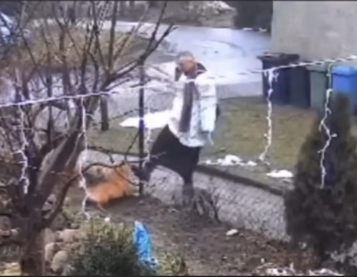 Ksiądz kopał psa