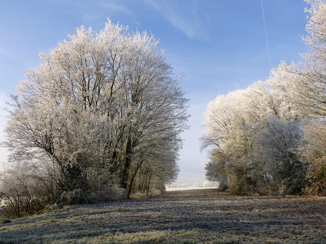 Czapki i szaliki wrócą do łask. Mrożące wieści od synoptyków na najbliższy weekend