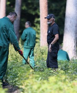 Nieprawidłowości w programie "Praca dla więźniów". Rusza śledztwo