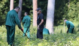 Nieprawidłowości w programie "Praca dla więźniów". Rusza śledztwo