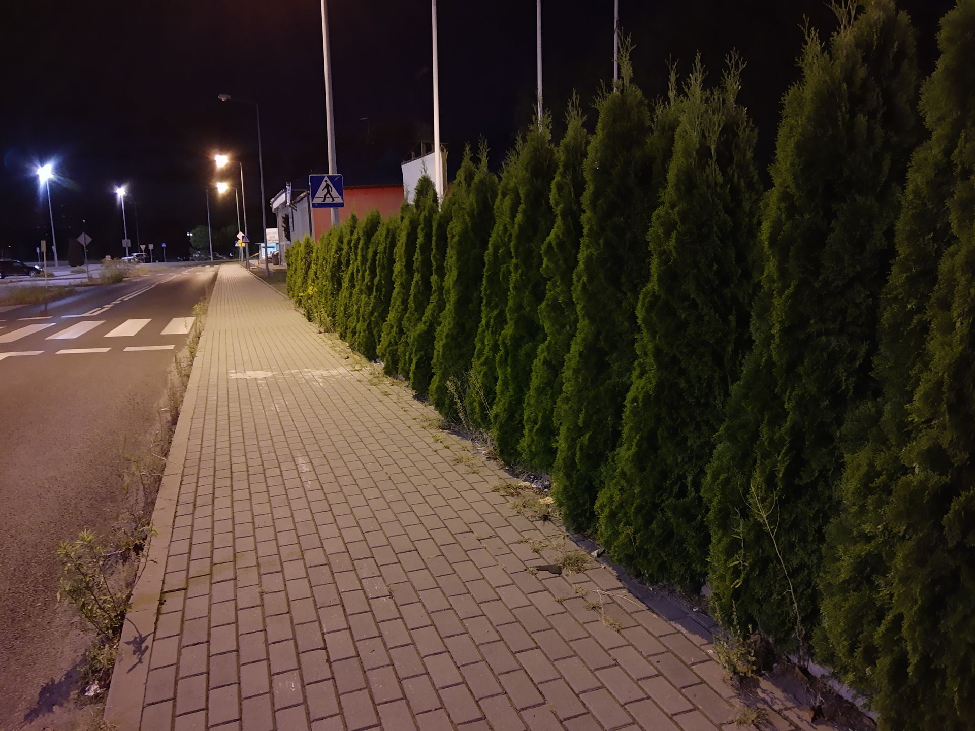 Motorola One Vision czy One Action? Porównanie aparatów 20