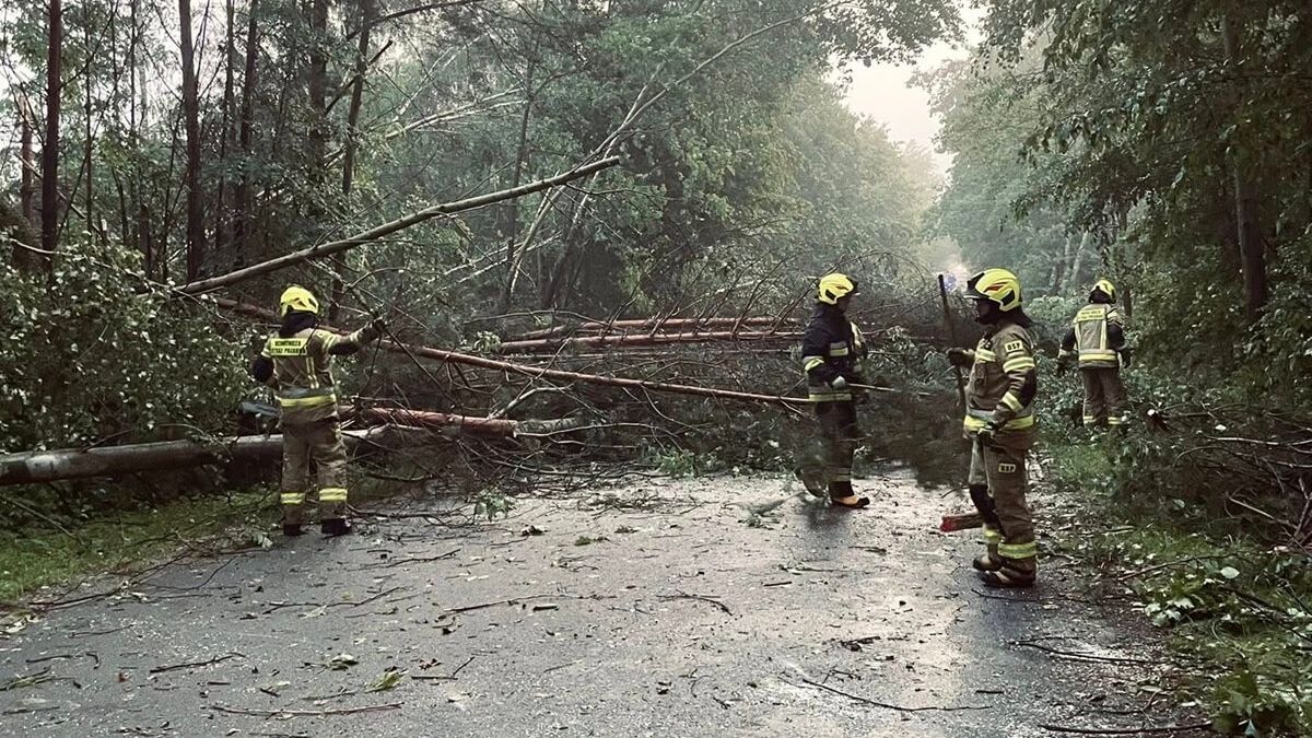 Strażacy usuwający skutki nawałnicy na terenie powiatu kraśnickiego
