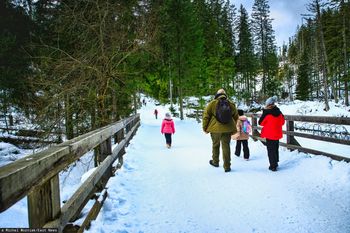 Koniec bezkarności w sieci? Park narodowy zatrudnił "cyberstrażnika"