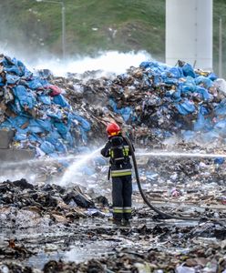 Mafia śmieciowa. Dziennikarze ujawnili, jak zarabia w Polsce. "Więcej niż na narkotykach"