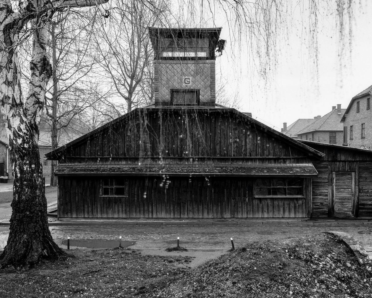 Cykl zdjęć "Auschwitz – ultima ratio ery modernizmu" wykonanych przez Tomasza Lewandowskiego powstał w celu umożliwienia analizy architektury budynków obozu zagłady. Fotograf w swojej pracy zadbał o to, by zdjęcia wykonane były w podobnych warunkach oświetleniowych, tak by ich odmienność nie wpływała na neutralną analizę.