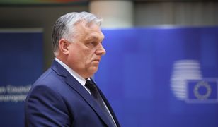 "Lis na czele kurnika". UE ma plan dla Ukrainy