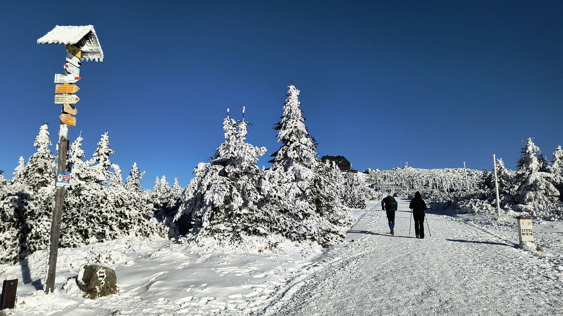 Bajkowa zima w Karkonoszach. 23 listopada 2025