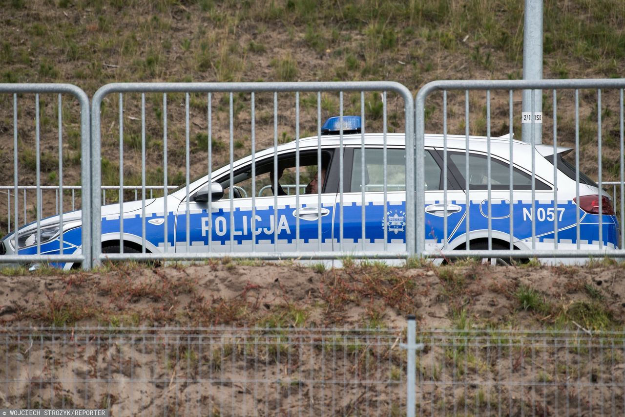 Tragedia na działkach w Zielonej Górze. Drzewo zabiło mężczyznę