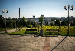 Kandydaci na prezydenta Zielonej Góry w wyborach samorządowych 2024