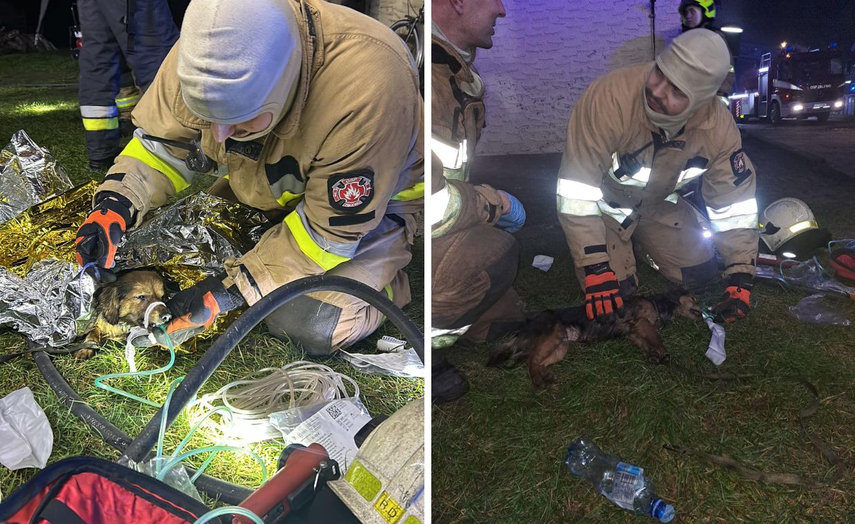 Strażacy ze Zblewa bohaterami. Uratowali psa z pożaru