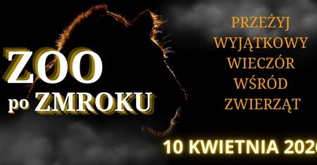 Zobacz zoo inaczej. Nocne zwiedzanie z latarkami już 10 kwietnia