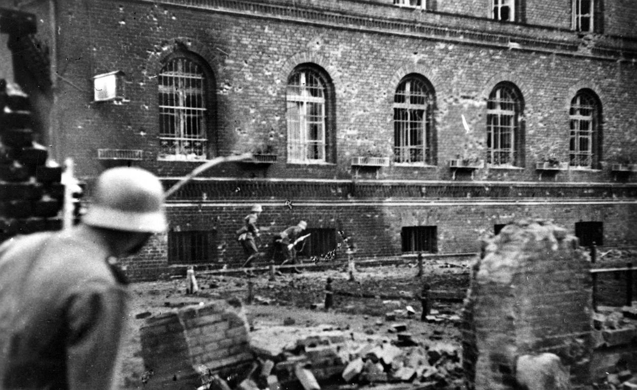 German history education crisis fuels concerning misconceptions