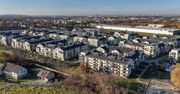 Kraków: Złocień rośnie, ale bez planu. Mieszkańcy mają dość