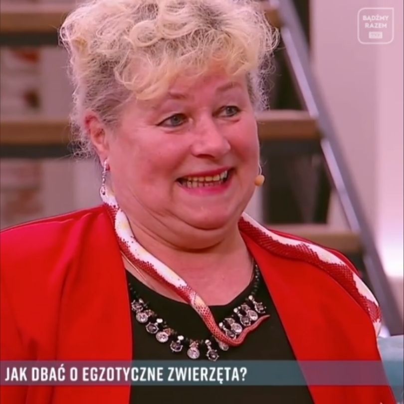 Fani oburzeniu zachowaniem Małgorzaty Tomaszewskiej podczas wizyty Haliny z "Sanatorium miłości" w "PnŚ".
