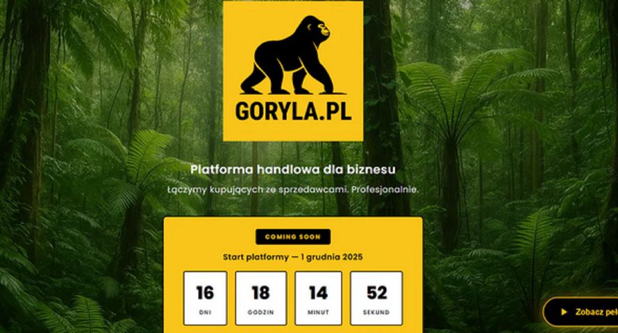 Republika wchodzi w e-commerce. Eksperci: Goryla na razie bez treści i strategii