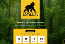 Goryla.pl chce powalczyć z Allegro, Amazonem, Temu