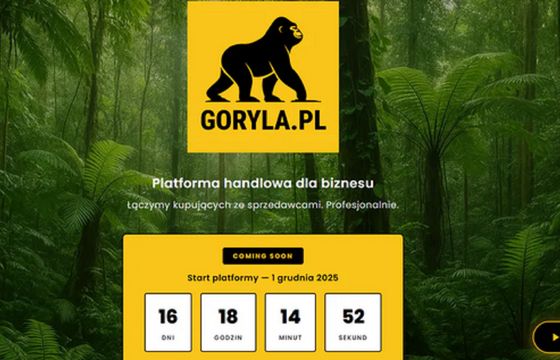 Republika wchodzi w e-commerce. Eksperci: Goryla na razie bez treści i strategii