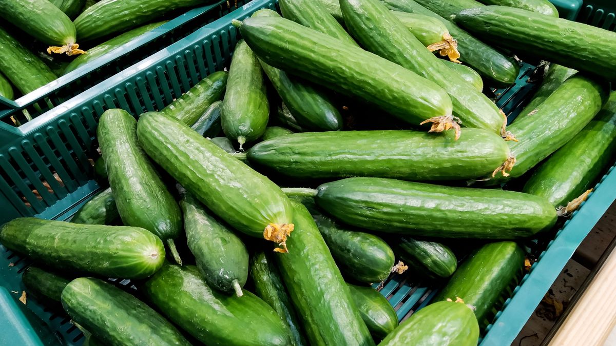 Import ogórków z Rosji mocno wzrósł