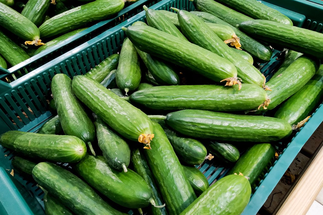 Rosja zalewa nas ogórkami. Rośnie import do Polski