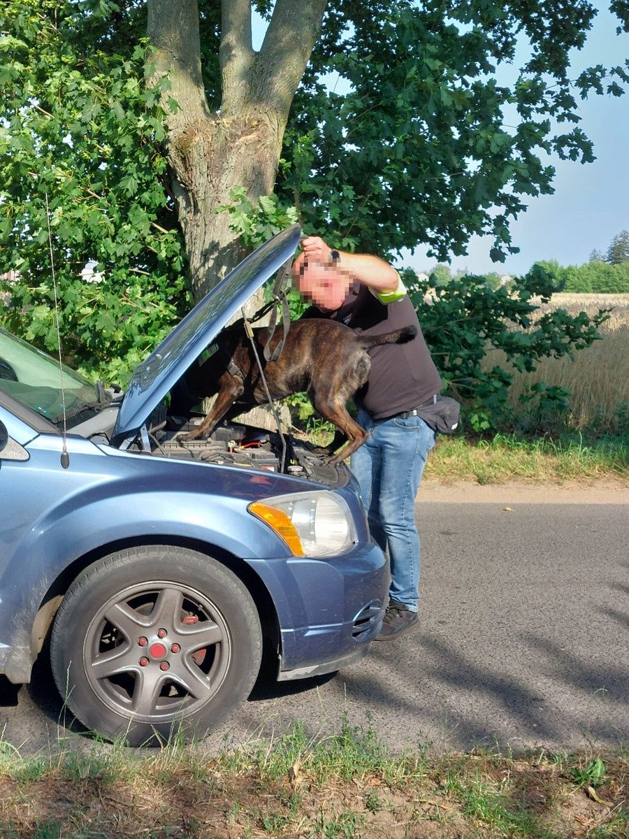 Akcja Komendy Wojewódzkiej i Urzędu Celnego w DrobiniE
