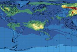Chmura tlenku węgla nad Polską. Nie ma powodu do niepokoju