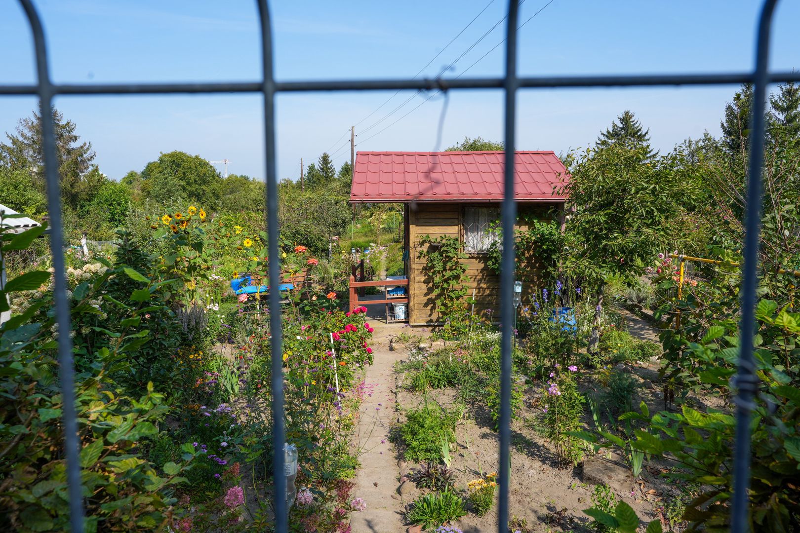 Zrobisz to na działce, więcej na nią nie wejdziesz. Kary są potężne